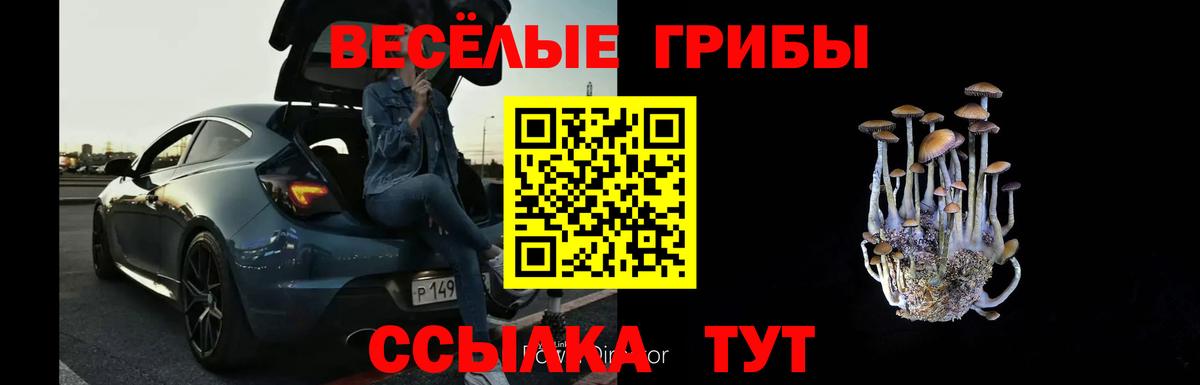 Псилоцибиновые грибы Psilocybe  Вход с VPN  Керчь 